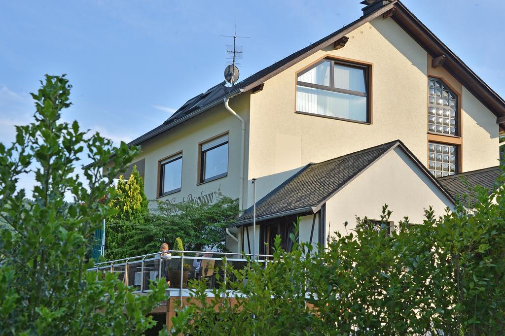 Apartmán Weingut Rosenbaum Briedel Pokoj fotografie