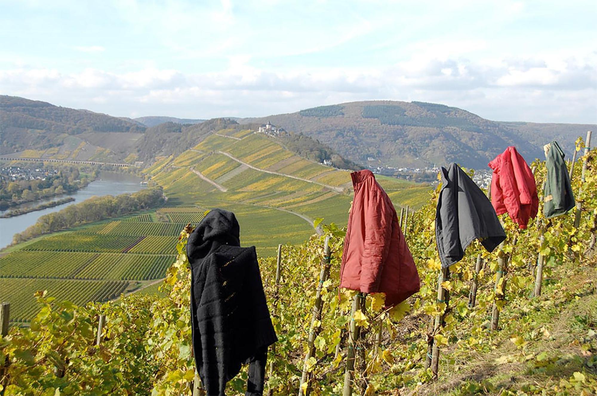 Apartmán Weingut Rosenbaum Briedel Exteriér fotografie