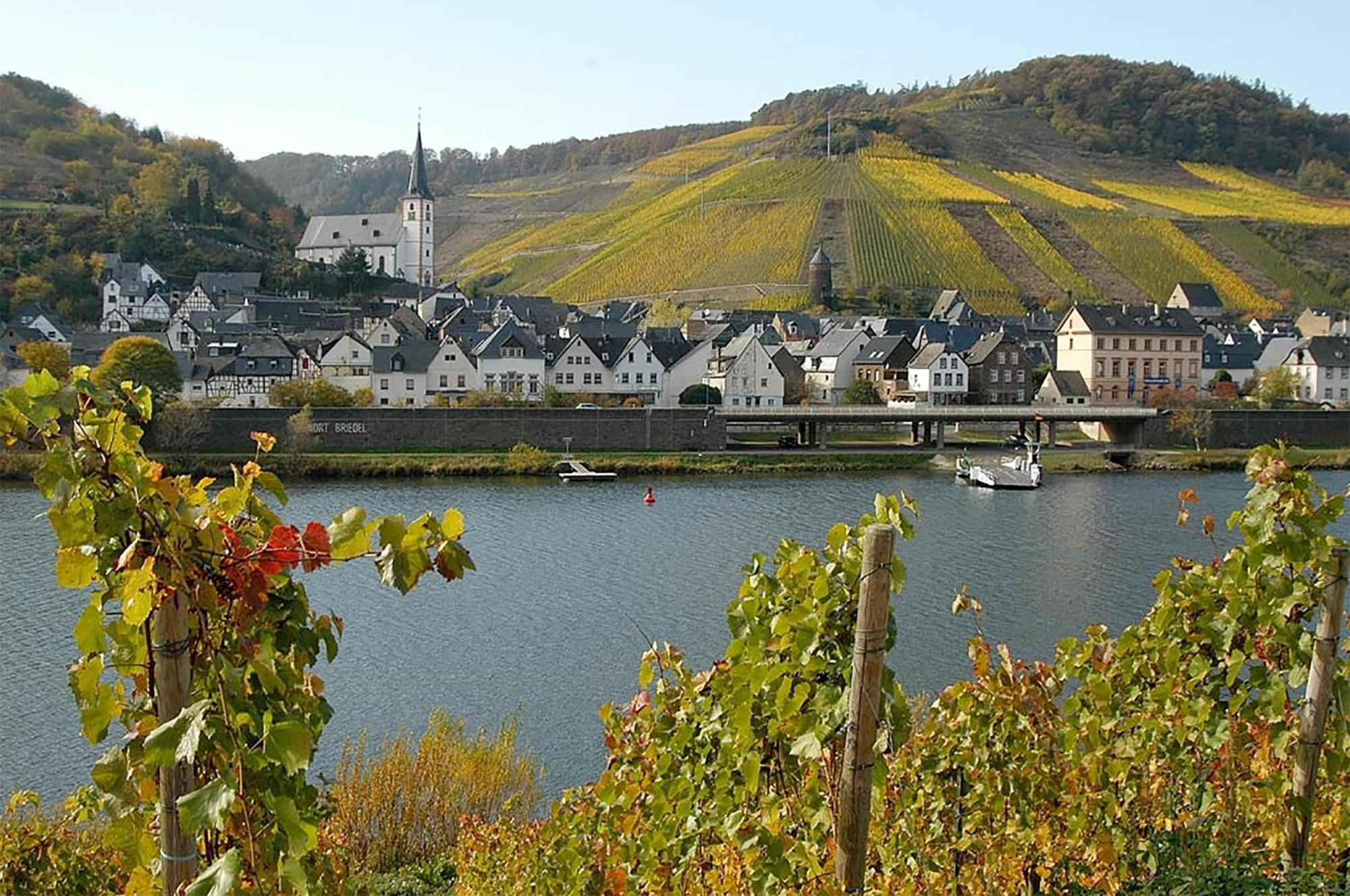 Apartmán Weingut Rosenbaum Briedel Exteriér fotografie