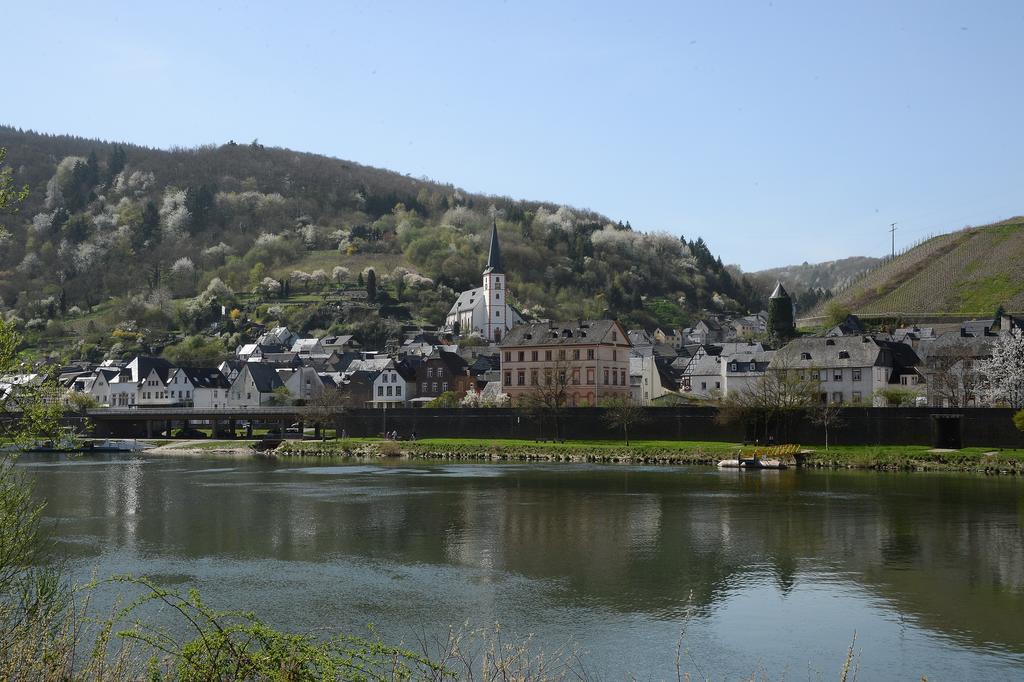 Apartmán Weingut Rosenbaum Briedel Exteriér fotografie