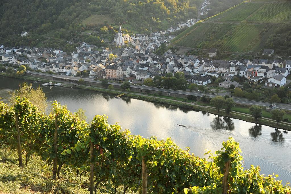 Apartmán Weingut Rosenbaum Briedel Exteriér fotografie