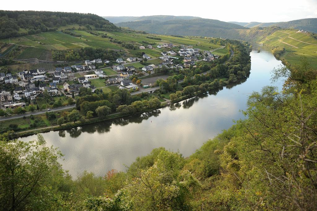 Apartmán Weingut Rosenbaum Briedel Exteriér fotografie