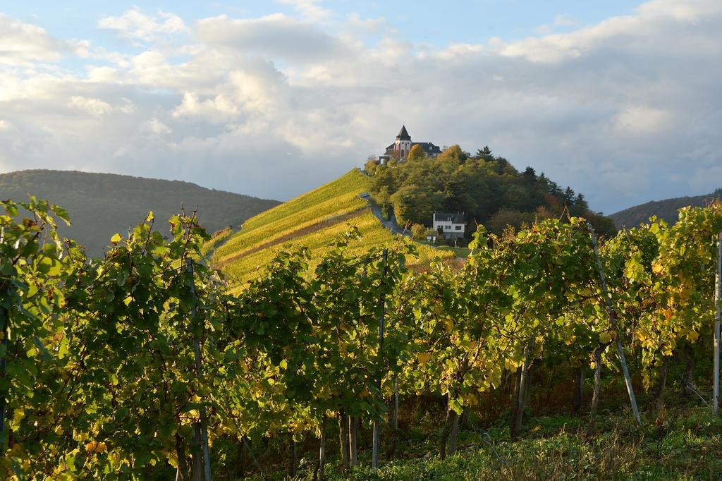 Apartmán Weingut Rosenbaum Briedel Exteriér fotografie